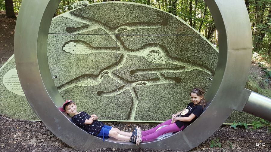 פארק כלורופיל